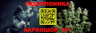 соль ск Славгород