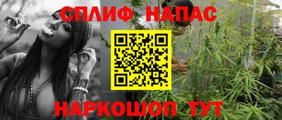 соль ск Славгород