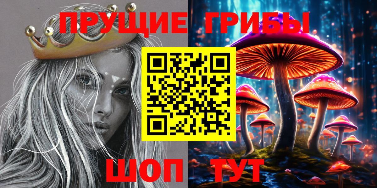 Псилоцибиновые грибы мицелий  наркотики  Барабинск  Вход с VPN 